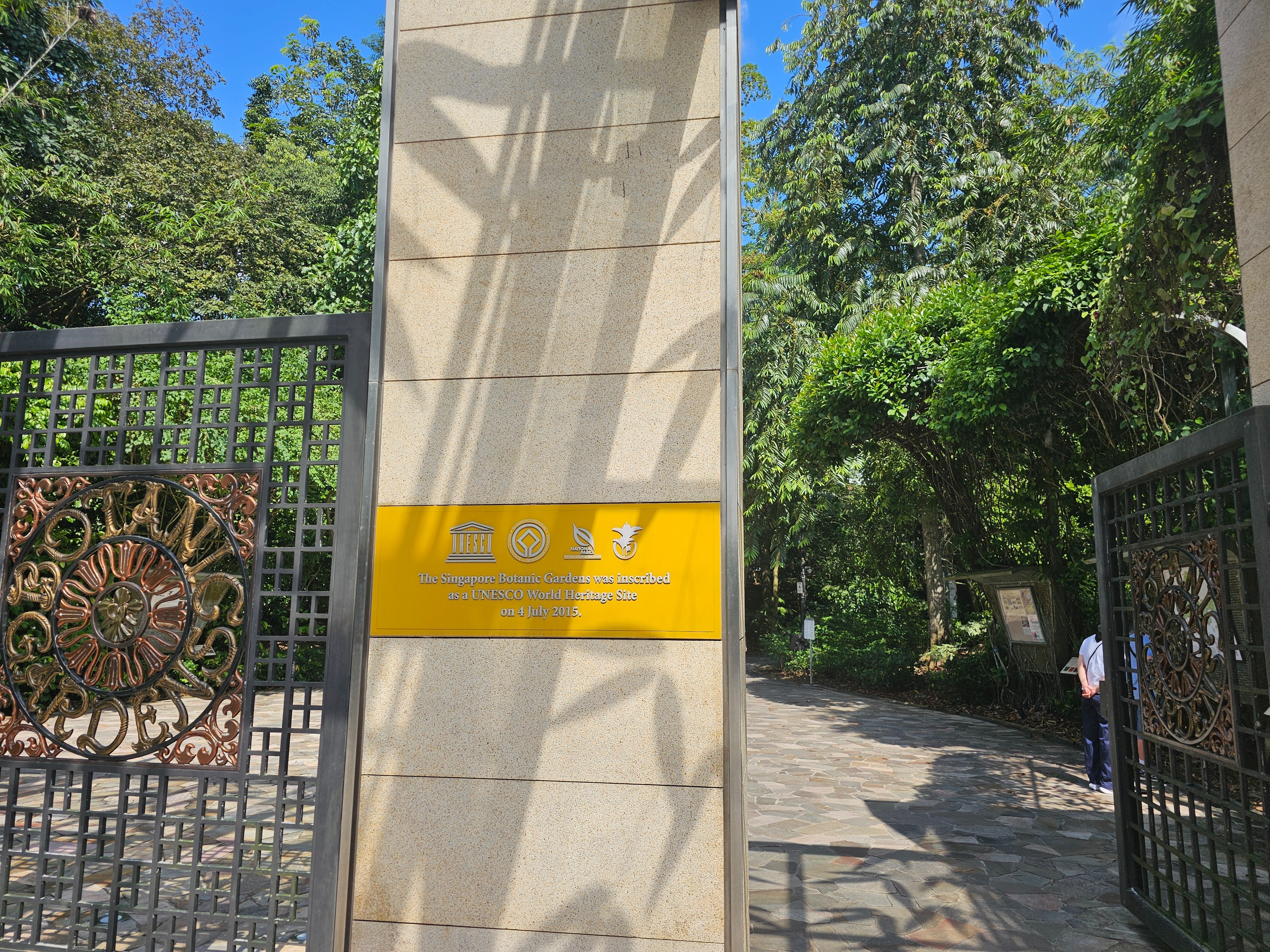 20250625_152143.jpg