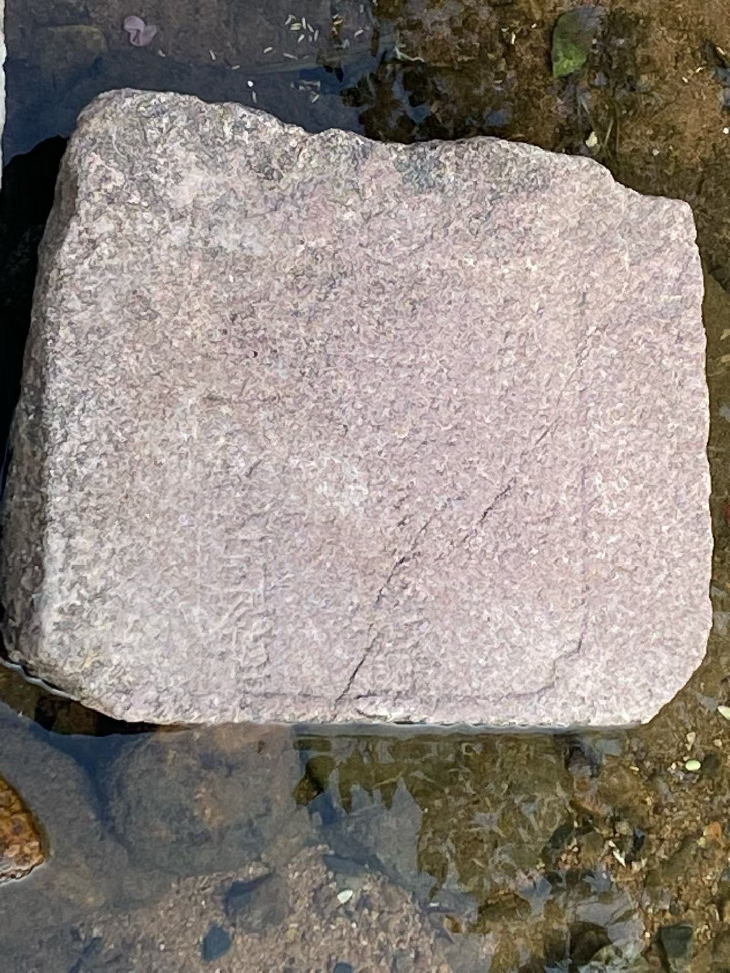 mmexport1791636008836.jpg